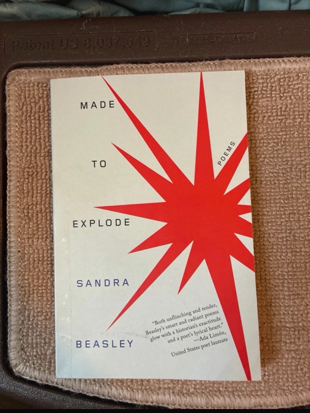 Made to Explode by Sandra Beasley Paperback Poetry Book